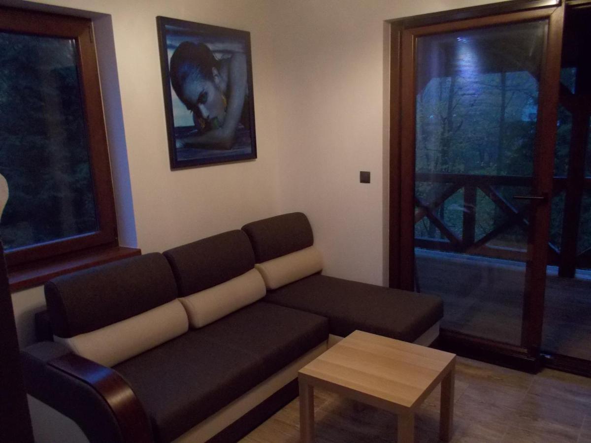 U Ponocneho Pod Ondrejnikem Villa Frýdlant nad Ostravicí Bagian luar foto